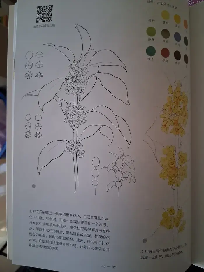 Nouveau Livre Pratique de Peinture à l'Aquarelle sur le Thème des Fleurs 2026 pour Débutants