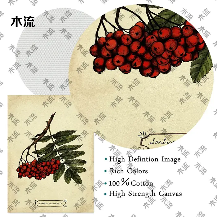 Peinture sur toile d'art mural vintage, illustration de plante de feuilles, art de connaissance d'arbre, impression d'affiche, décoration à la maison, sans cadre