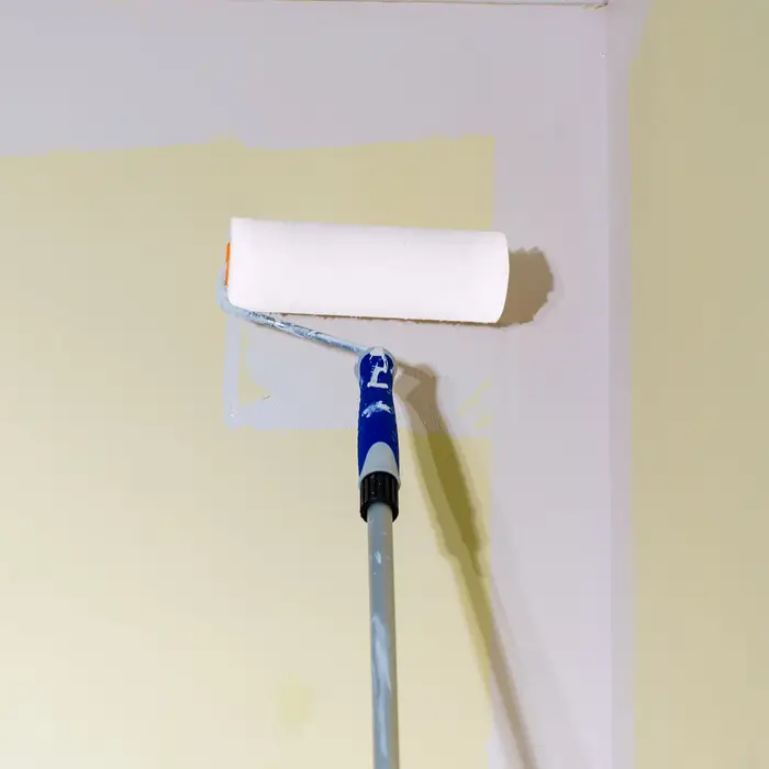 Rouleau de peinture en mousse
