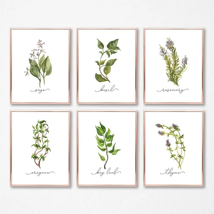 Affiches murales sur toile de Collection d'herbes, peinture de sauge d'organo, romarin, basilic, thym, aquarelle, image murale imprimée, décor de cuisine