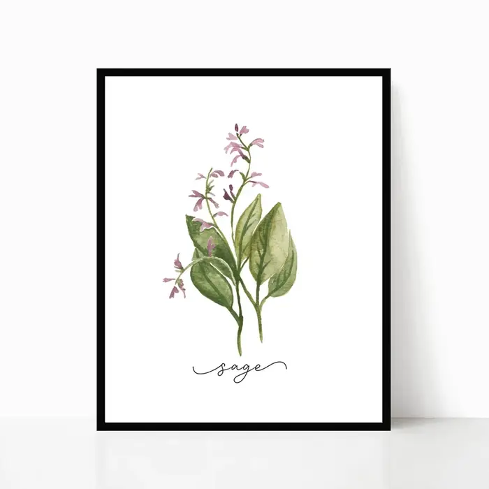 Affiches murales sur toile de Collection d'herbes, peinture de sauge d'organo, romarin, basilic, thym, aquarelle, image murale imprimée, décor de cuisine