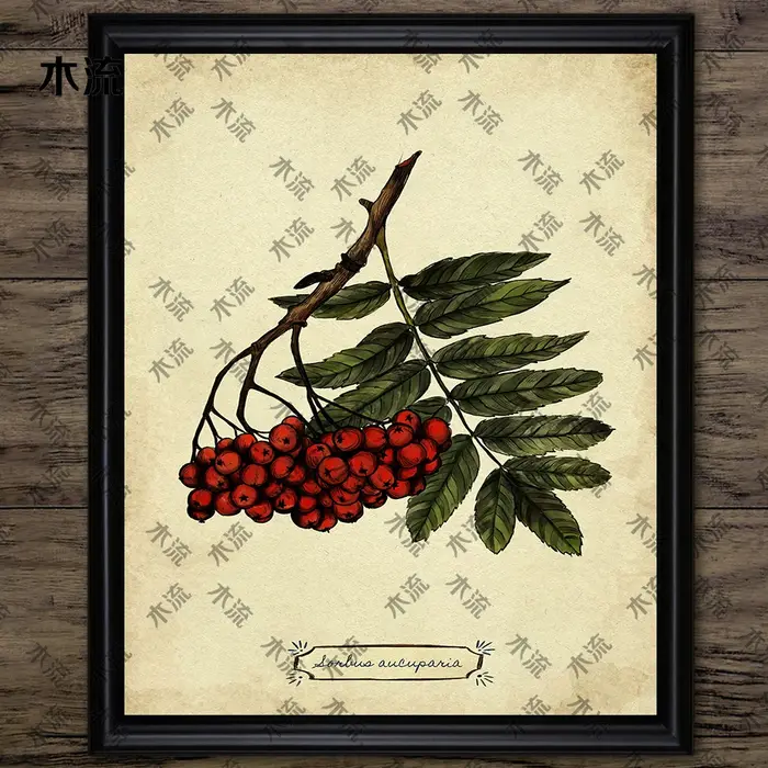 Peinture sur toile d'art mural vintage, illustration de plante de feuilles, art de connaissance d'arbre, impression d'affiche, décoration à la maison, sans cadre