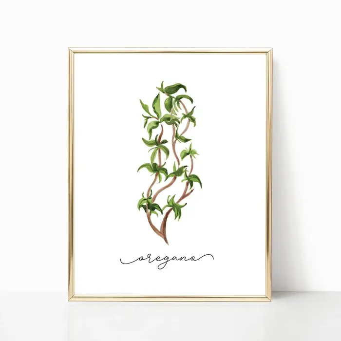 Affiches murales sur toile de Collection d'herbes, peinture de sauge d'organo, romarin, basilic, thym, aquarelle, image murale imprimée, décor de cuisine