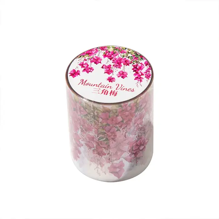5*200 cm 1 rouleau INS thème de vigne fraîche PET bande autocollants adhésif bricolage Scrapbooking journal