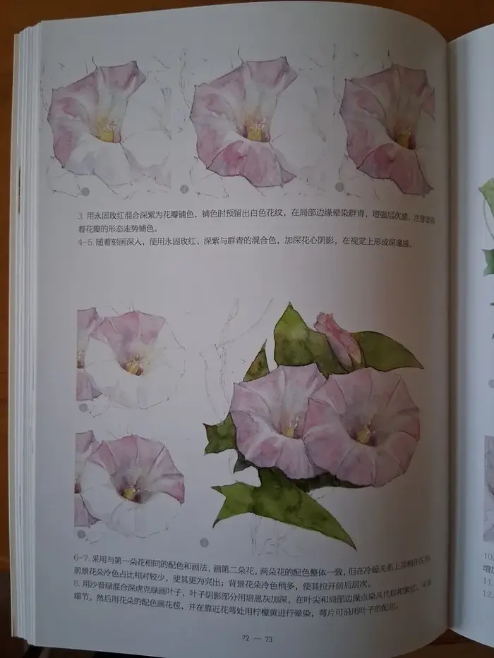 Nouveau Livre Pratique de Peinture à l'Aquarelle sur le Thème des Fleurs 2026 pour Débutants