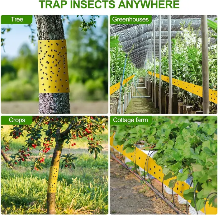 Ruban anti-insectes double face jaune 5/10M