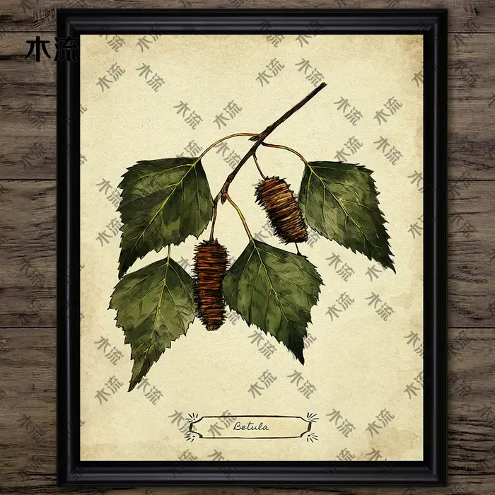 Peinture sur toile d'art mural vintage, illustration de plante de feuilles, art de connaissance d'arbre, impression d'affiche, décoration à la maison, sans cadre