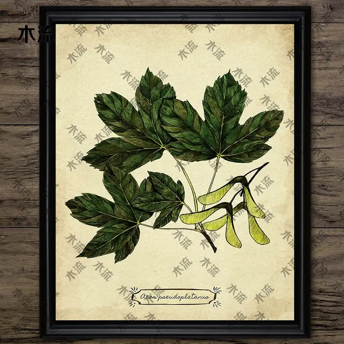 Peinture sur toile d'art mural vintage, illustration de plante de feuilles, art de connaissance d'arbre, impression d'affiche, décoration à la maison, sans cadre