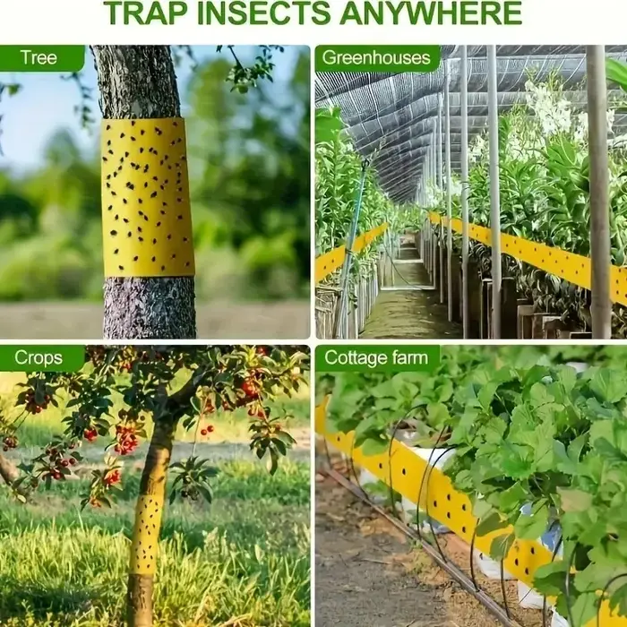 Rouleau de ruban adhésif Double face pour barrière contre les insectes