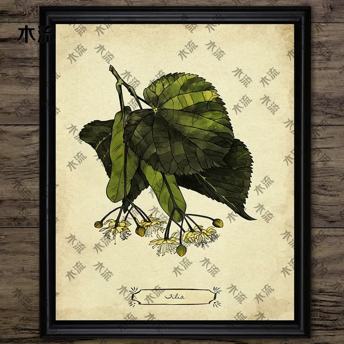 Peinture sur toile d'art mural vintage, illustration de plante de feuilles, art de connaissance d'arbre, impression d'affiche, décoration à la maison, sans cadre