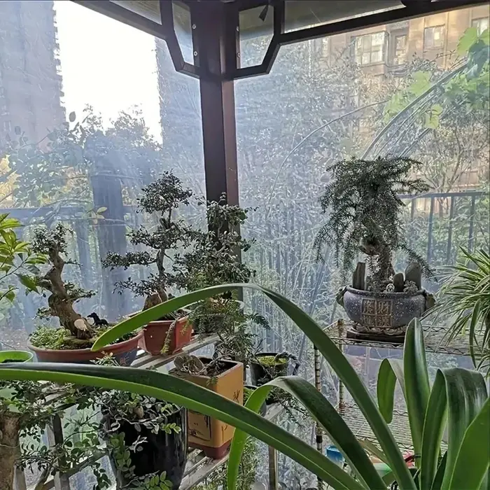 Bâche transparente et fermée en PVC