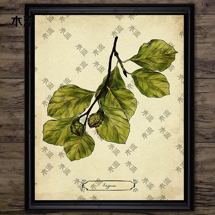 Peinture sur toile d'art mural vintage, illustration de plante de feuilles, art de connaissance d'ar