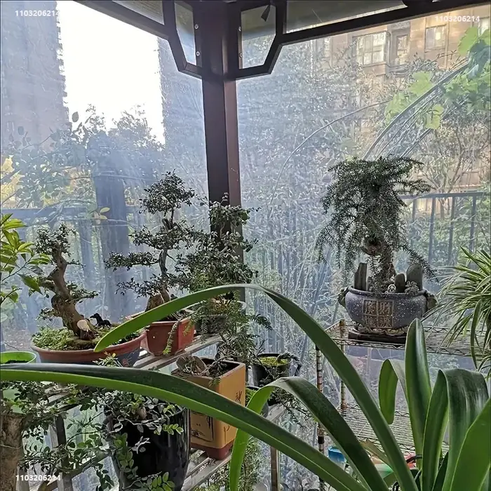 Bâche transparente imperméable pour jardin