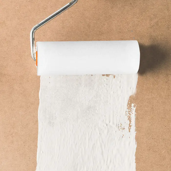 Rouleau de peinture en mousse