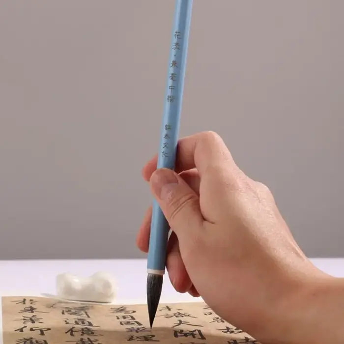 Pinceau de calligraphie chinoise d'interconnexion à l'huile