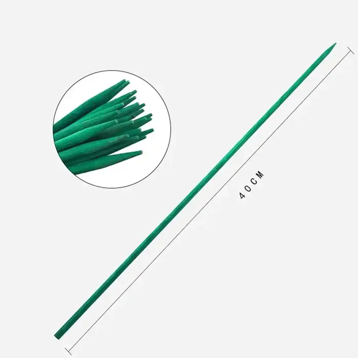 Piquet de plante en bambou vert 40cm