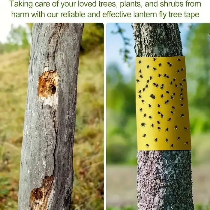 Rouleau de ruban adhésif Double face pour barrière contre les insectes