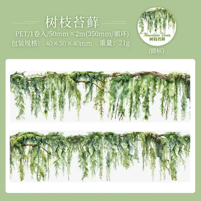 5*200 cm 1 rouleau INS thème de vigne fraîche PET bande autocollants adhésif bricolage Scrapbooking journal