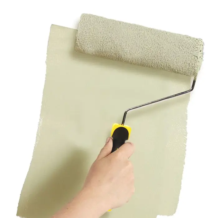 Rouleau applicateur multifonctionnel pour enduit mural