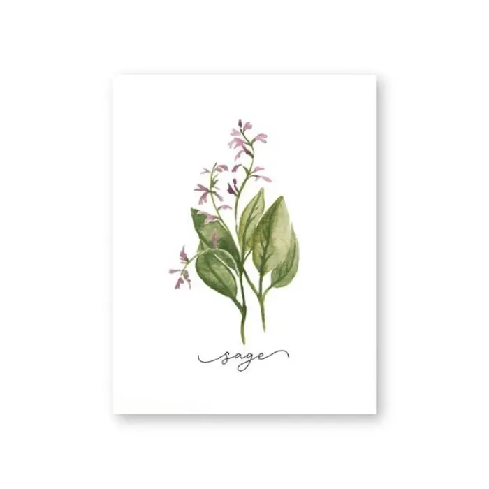 Affiches murales sur toile de Collection d'herbes, peinture de sauge d'organo, romarin, basilic, thy