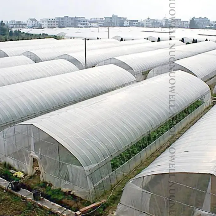 1 rouleau 5 ~ 30cm X 10M Transparent serre Film ruban de réparation résistant aux UV Agriculture jardin