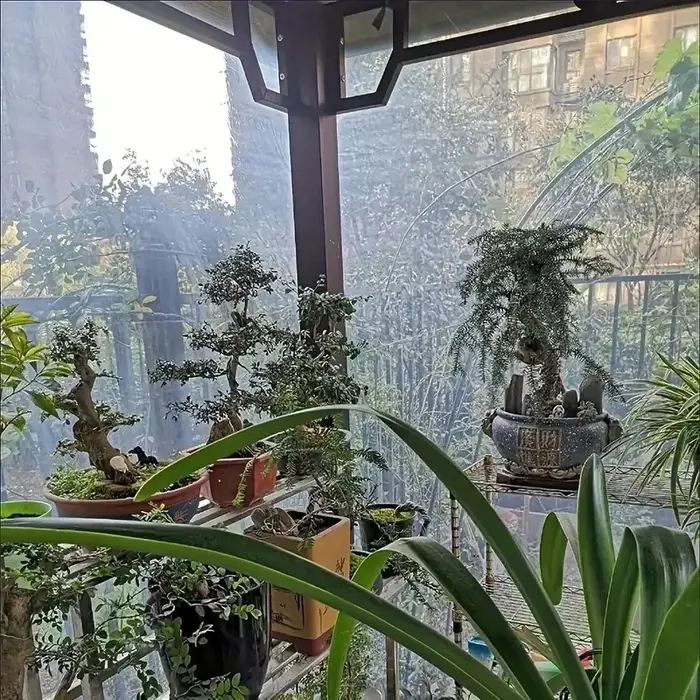 Bâche transparente pe épaisse