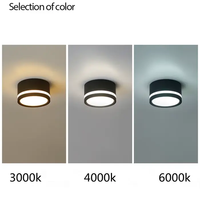 Plafonnier Spot lampe ronde Led salon Downlight monté en Surface AC220v Luminaire lumière décor à la maison 7W 10W blanc chaud