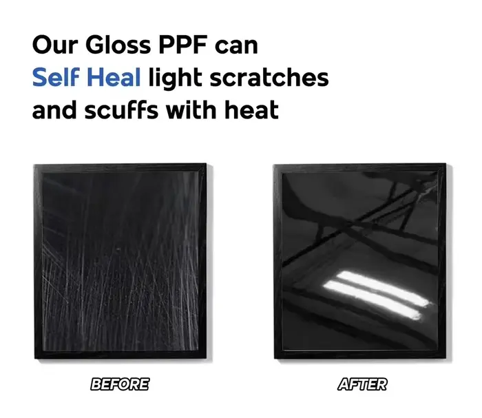 Film de Protection de peinture prédécoupé de 8.5Mil